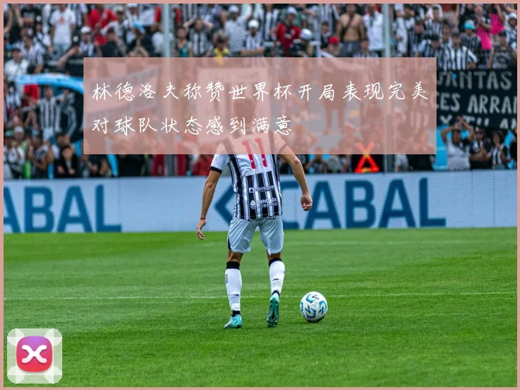 林德洛夫称赞世界杯开局表现完美对球队状态感到满意